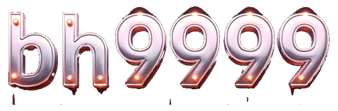 bh9999 logo